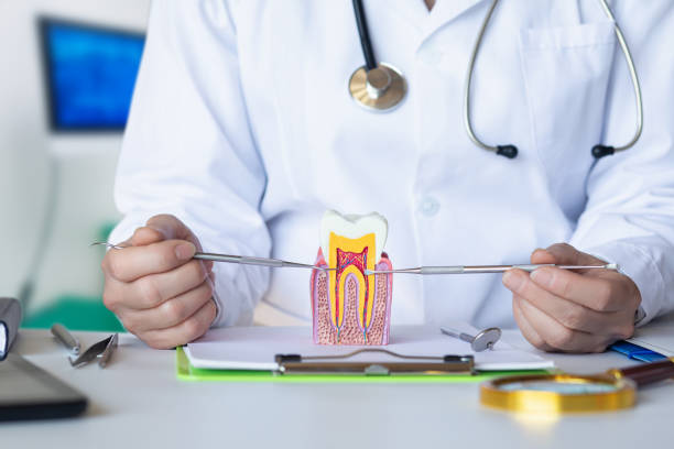 Best Emergency Root Canal Treatment in Mount Vernon, TX